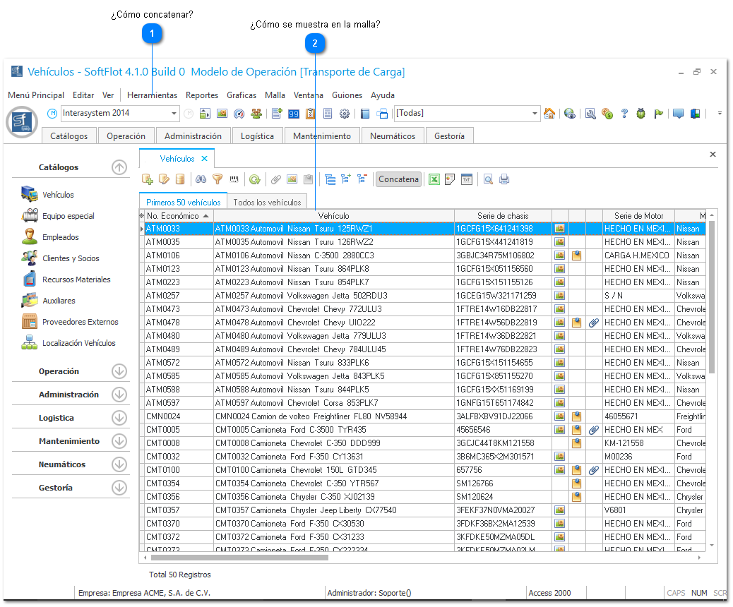 Concatenar Nombre de Vehículos y Neumáticos