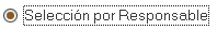 1. Selección por Responsable